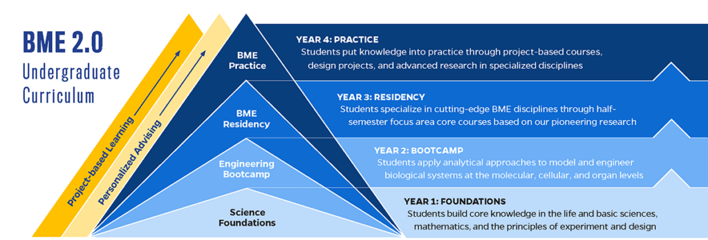 The BME 2.0 pyramid explains how the undergraduate program progresses throughout four years.