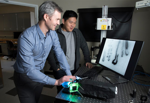 A student and faculty member are using an imaging device that projects images of the inner workings of the finger on a computer screen..