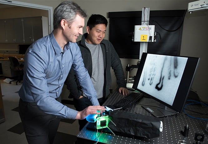A student and faculty member are using an imaging device that projects images of the inner workings of the finger on a computer screen..