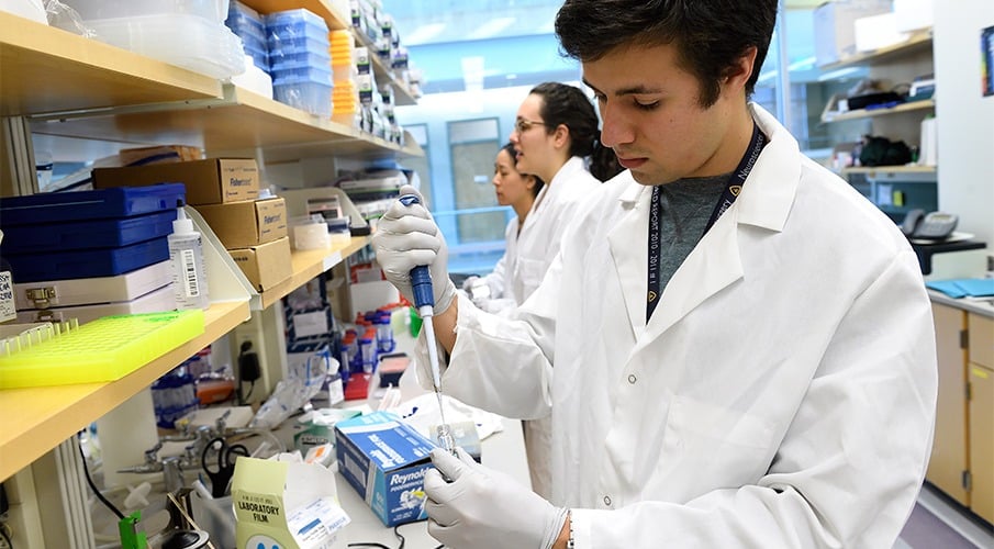 An undergraduate student works in a wet lab wearing a white lab coat.