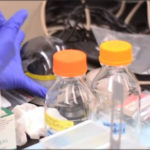 A gloved hand works with vials in a wet lab.