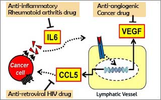 A scientific drawing explains the study.