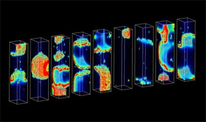 The image shows a computer model of heart cells.