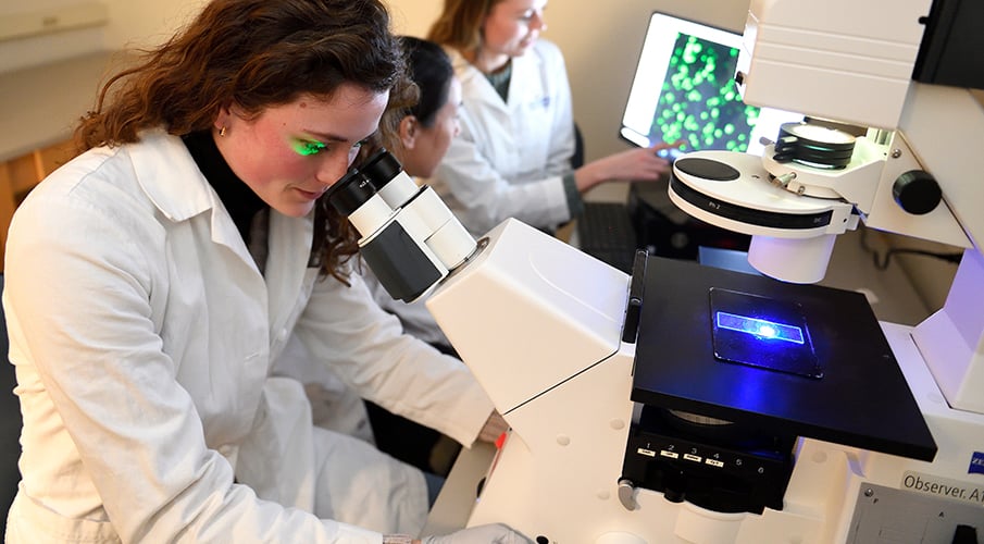 A female student looks into a microscope with two other students in the background.