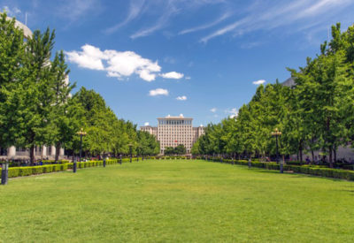 A building can be seen in the distance in the middle of two rows of trees.