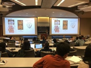 A lecture hall is full of students listening to presentations.