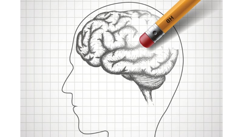 The image shows a sketch of a human head and brain.