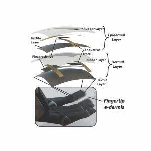 A drawing of the layers of the e-dermis