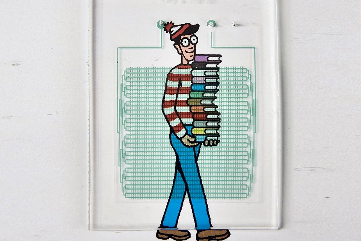 The photo shows Waldo's holding books.