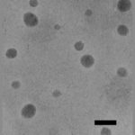 A microscopic image of the nanoparticles used in the study.