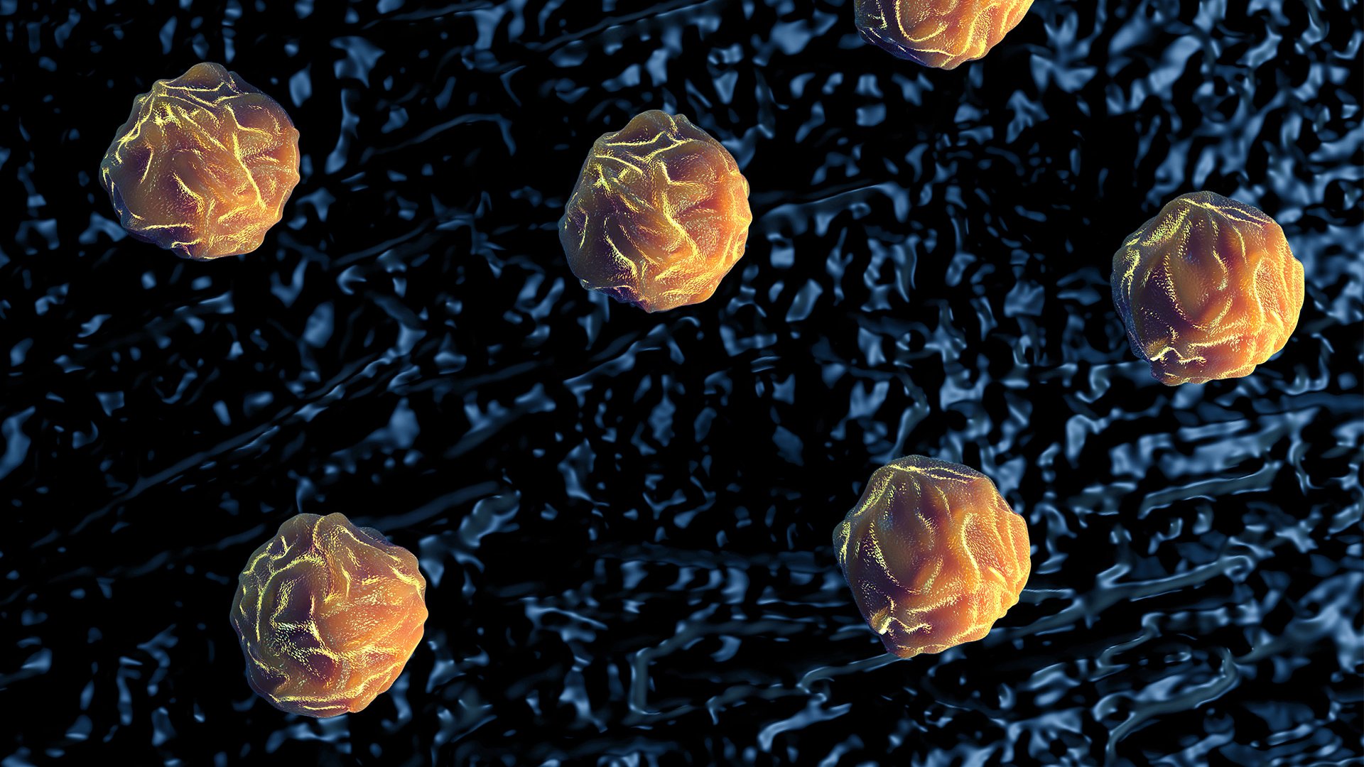 Orange spheres float on top of a textured blue background, which represents what bone marrow stem cells.