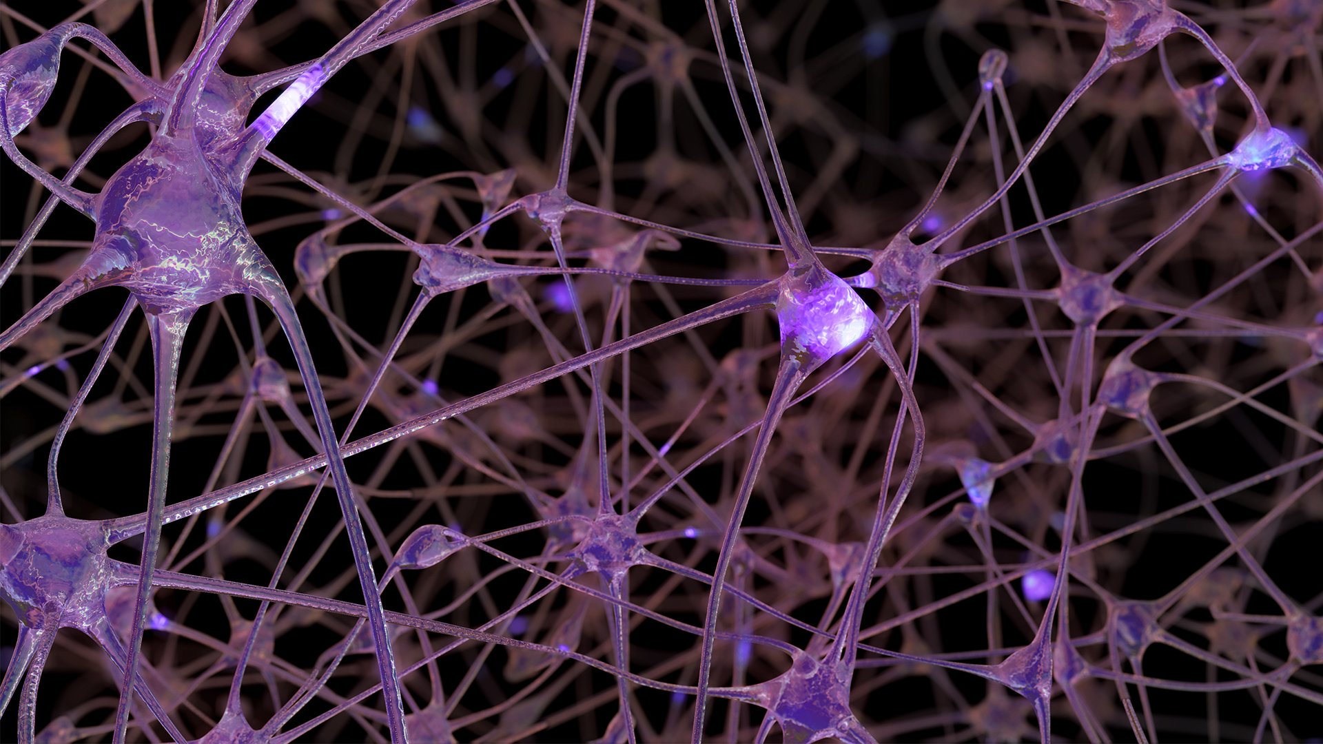 The image shows a 3D rendering of a network of neuron cells and synapses.