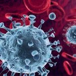 The photo shows a microscope image representing a virus amongst red blood cells.