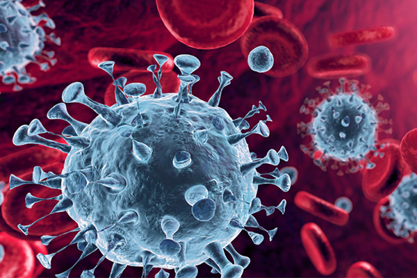 The photo shows a microscope image representing a virus amongst red blood cells.