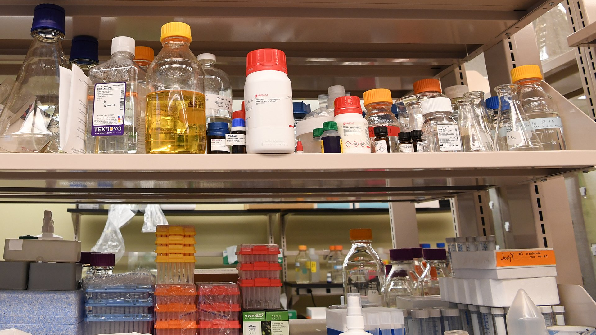 A variety of glass beakers are shown on a shelf.