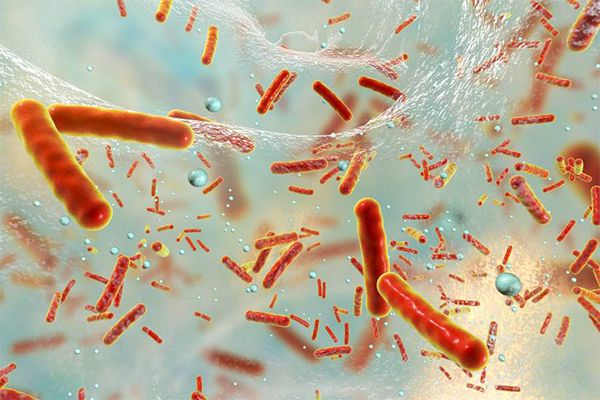 An artist rendering of sepsis under a microscope.