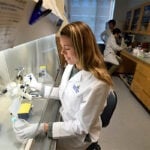 A female student is working with a pipette under a hood in a laboratory.