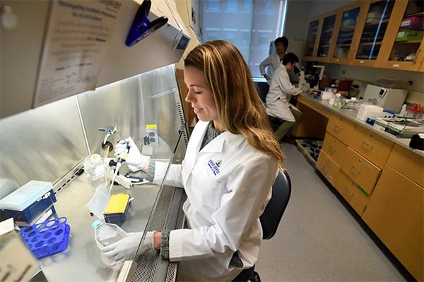 A female student is working with a pipette under a hood in a laboratory.