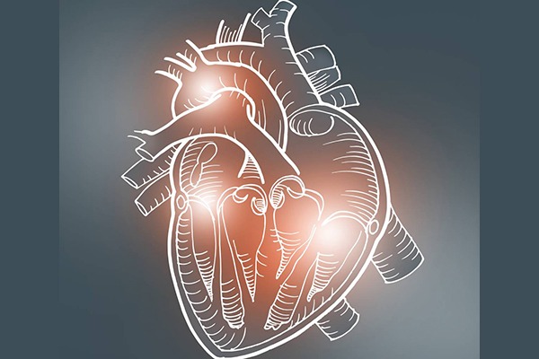 An illustration of a human heart appears on a gray background.