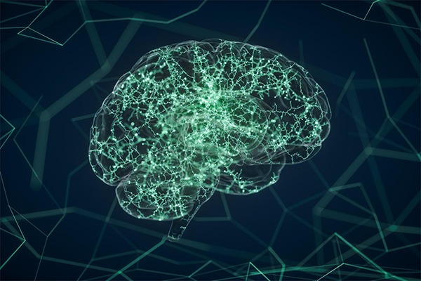 A computer image of a brain is shown over a black background with green lines.