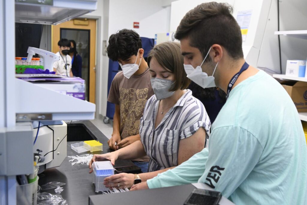 Students and a professor are working side-by-side in the lab.