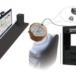 A BCI decodes neural signals acquired from electrodes placed on the surface of brain areas responsible for speech and upper limb function. Participant then navigates options on a communication board using a set of six navigational commands to control devices like room lights.