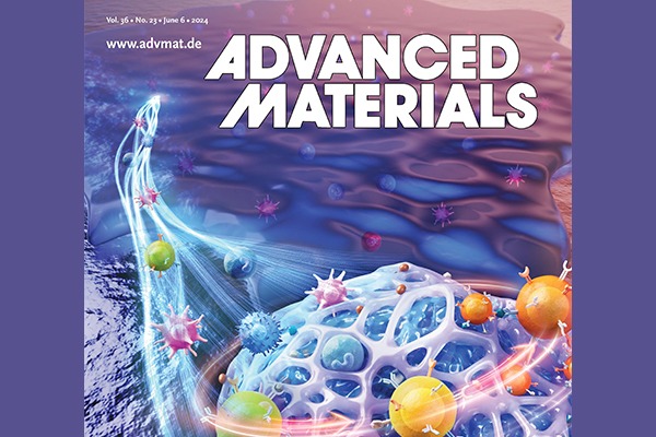 An artist’s illustration of the artificial lymph node Credit: Jennifer Fairman; used with permission from Advanced Materials