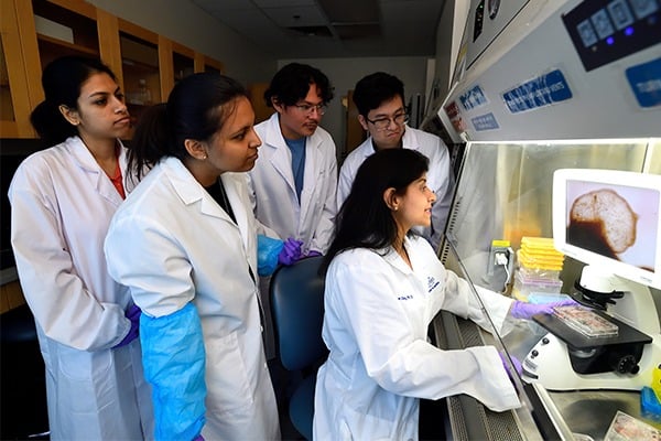 A group of students watch over the shoulder of a female professor working under a hood.