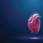A computer generated heart in front of a navy blue background.