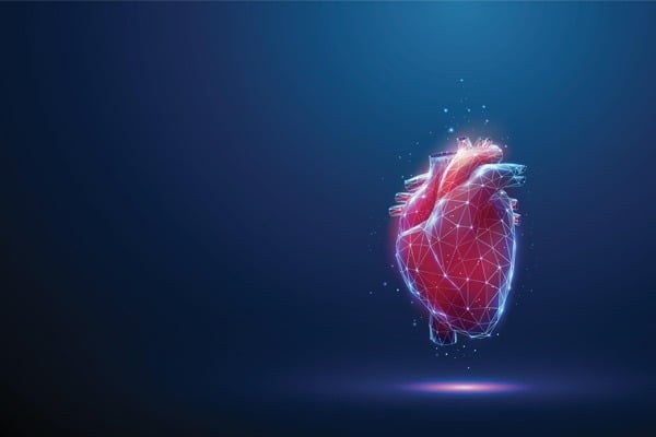 A computer generated heart in front of a navy blue background.