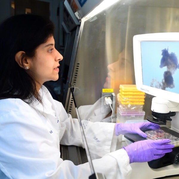 A female scientist is working under a hood.