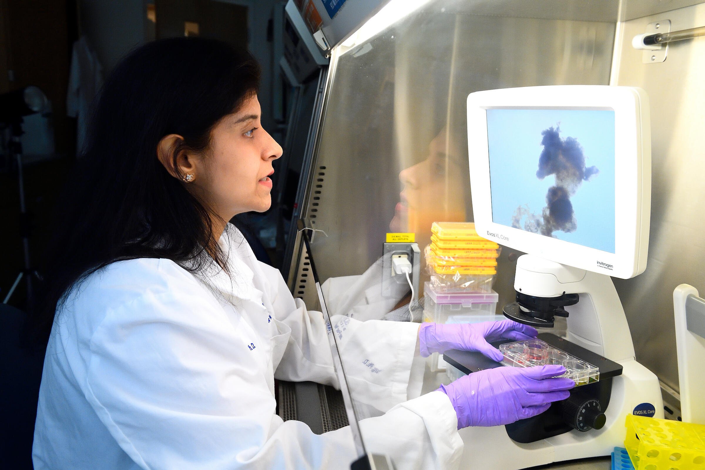 A female scientist is working under a hood.