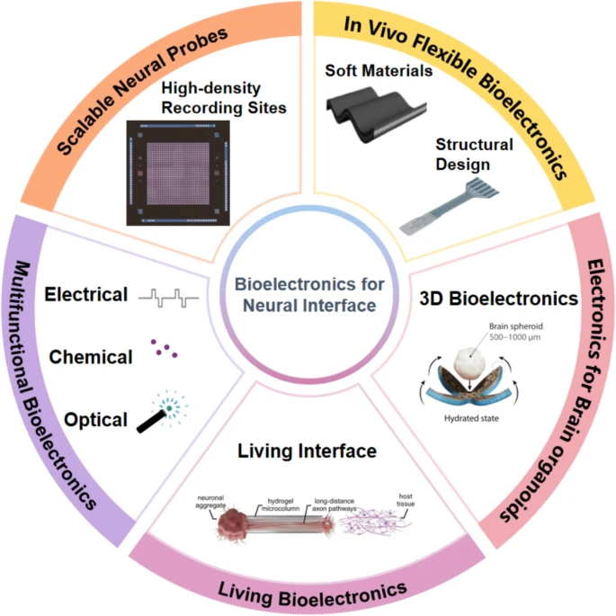 A diagram illustrating various aspects of bioelectronics for neural interfaces. The central circle is labeled 'Bioelectronics for Neural Interface,' surrounded by sections labeled 'Scalable Neural Probes,' 'In Vivo Flexible Bioelectronics,' '3D Bioelectronics,' 'Electronics for Brain Organoids,' 'Living Interface,' 'Living Bioelectronics,' 'Multifunctional Bioelectronics,' 'Electrical,' 'Chemical,' and 'Optical.' Each section includes relevant images or icons, such as high-density recording sites, soft materials, brain spheroids, and diagrams of neuronal connections.
