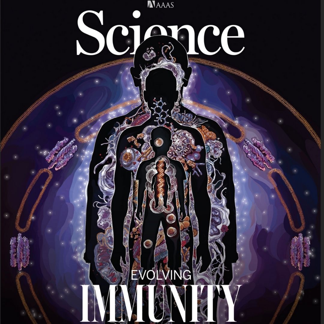 Illustration depicting the evolution of the immune system throughout a person's life span, from infancy to older age. The image shows silhouetted figures with DNA inside the infant silhouette, surrounded by nuclear and plasma membranes. These visual elements reference the historical development of immunity, highlighting the integration of viruses into the genome and the progression from single-celled to multicellular organisms.