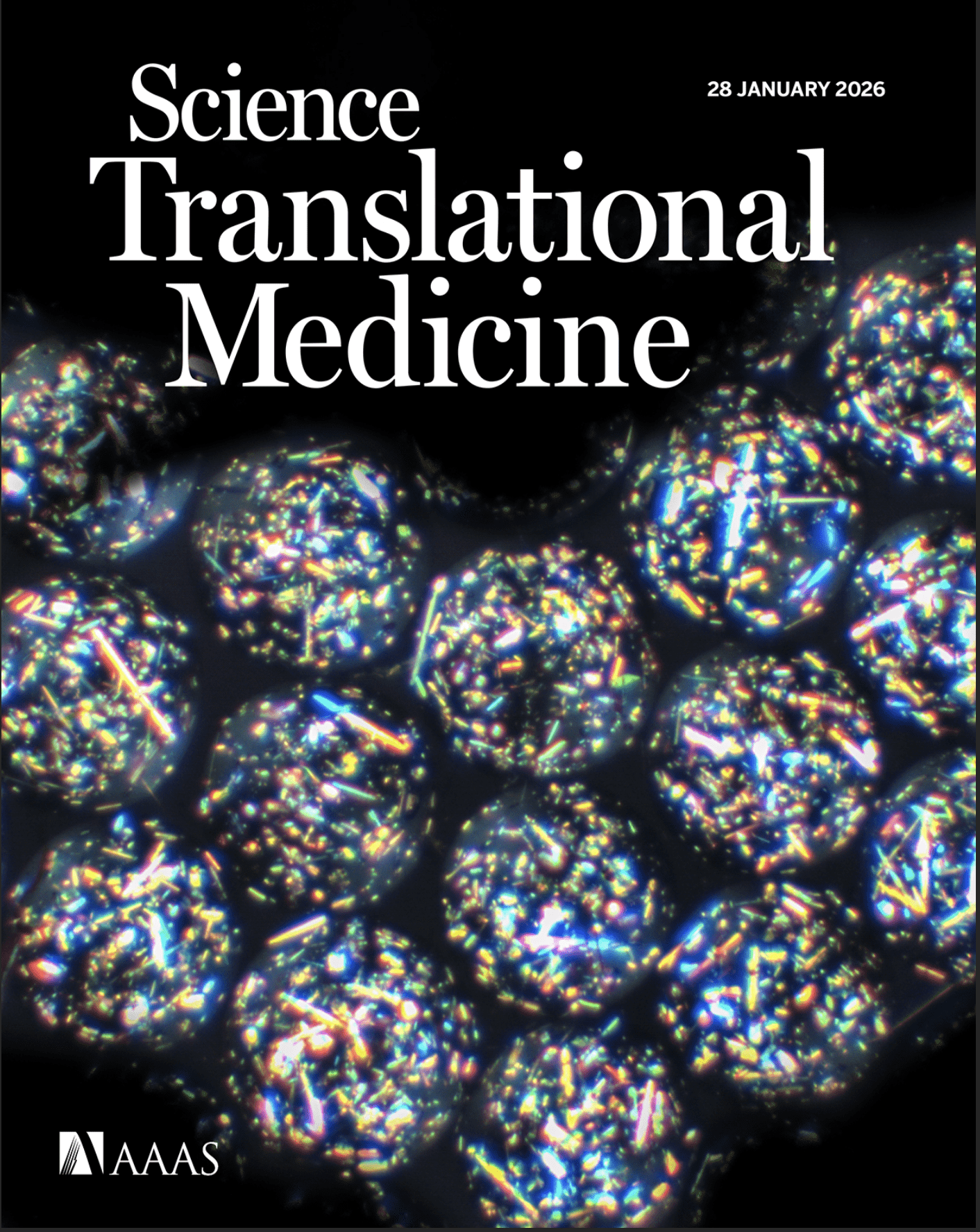 Screenshot 2026-02-25 at 10.42.30 AM The front cover of Science Translational Medicine magazine dated 28 January 2026. The main image features glowing, iridescent drug crystals packed into spherical capsules against a black background, representing the "crystalline shield" technology.